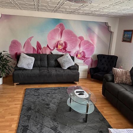 Ferien- Und Monteurwohnung Julia Mörlenbach エクステリア 写真
