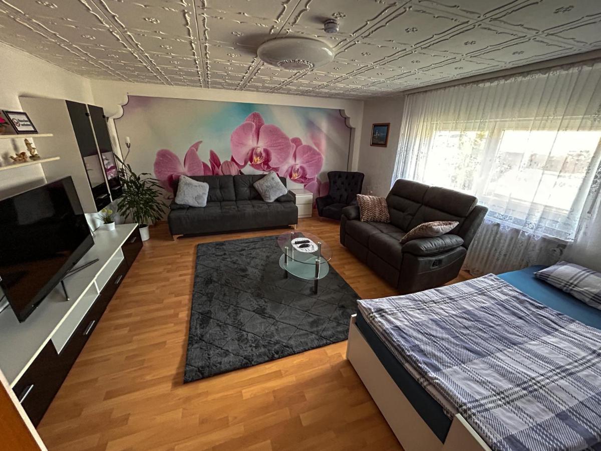 Ferien- Und Monteurwohnung Julia Mörlenbach エクステリア 写真